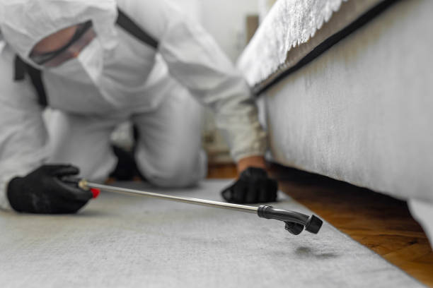 Professional Termite Control technician working in Mexico, IN