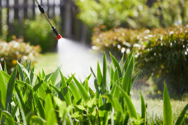 24/7 Emergency Termite Control experts in Mexico, IN