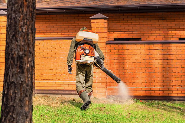 Top rated local Termite Control specialists in Mexico, IN